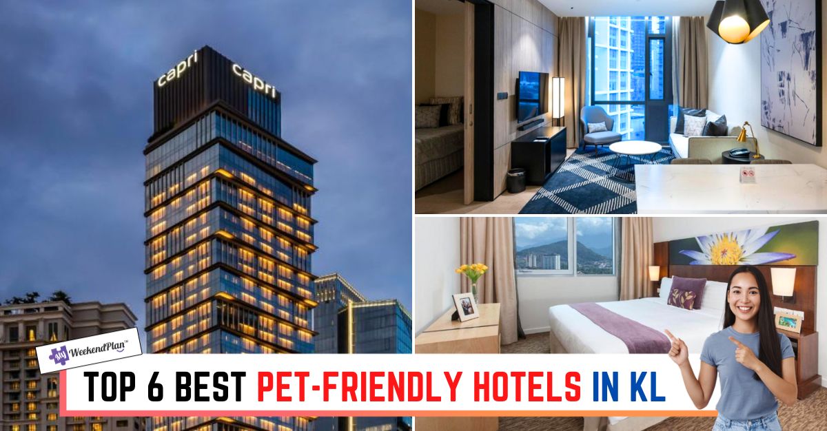 Best Pet-Friendly Hotels Poland 2025